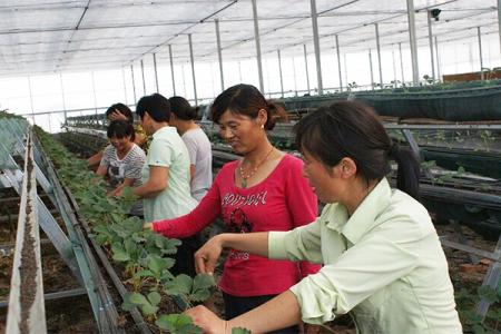 火狐电竞官方网站