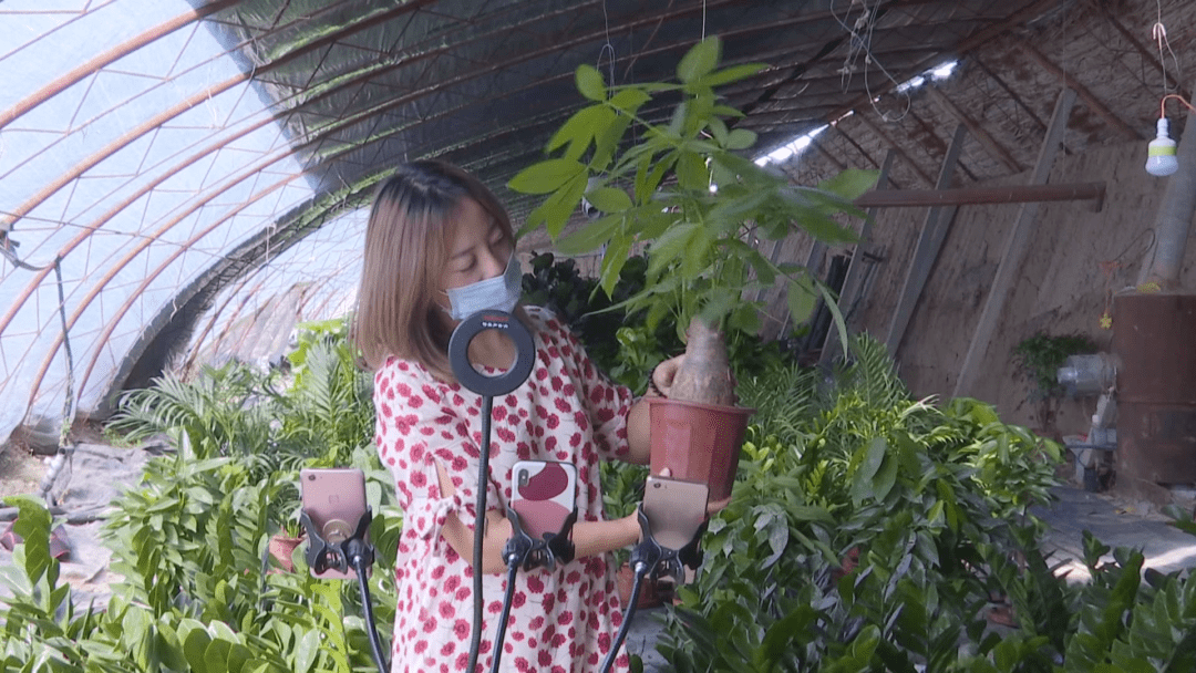 
【关注】五师双河市：“互联网+”让农产物销售更流通：火狐电竞官方网站(图6)