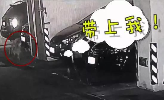 【火狐电竞官网】一个长得丑的男生,做到以下“5”点能全方位地变帅,革新自己(图4) 火狐电竞官方网站